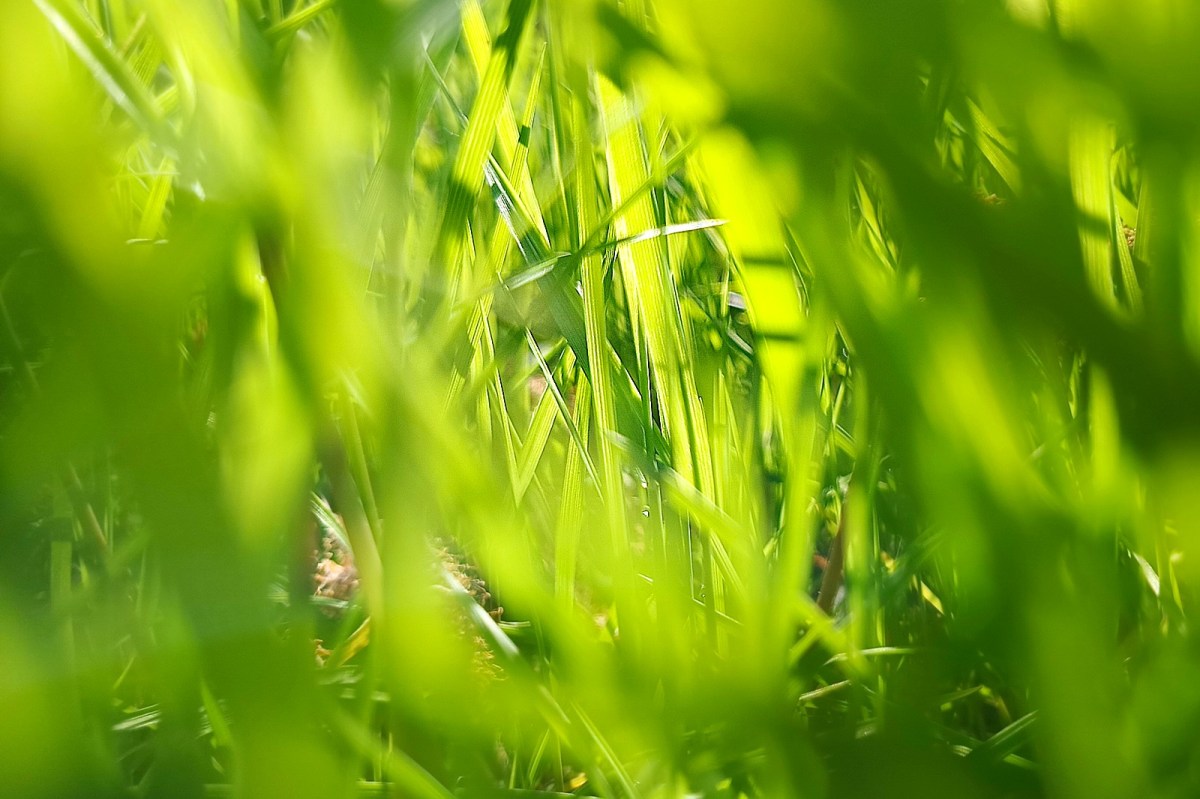 Tánc a nehézségeken&nbsp;át